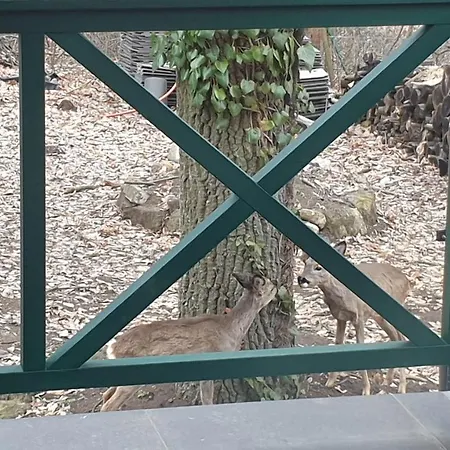 Villa Edit Friends Matrafured