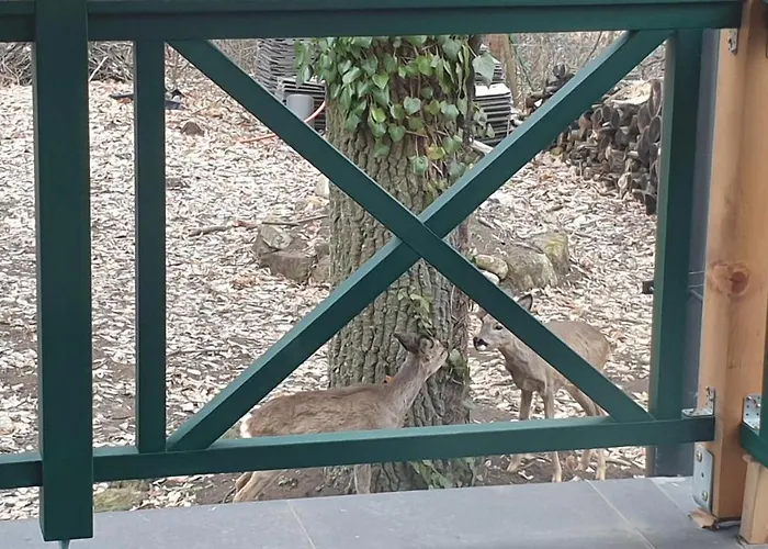 Villa Edit Friends Matrafured